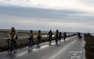 Cyclo découverte L'île de Noirmoutier - 09 septembre 2019