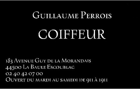 Coiffeur Guillaume PERROIS